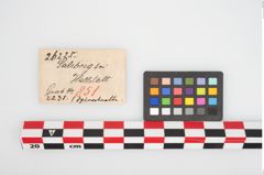 Etikett zu Bronzespiralröhrchen (NHMW-PRAE-026225)